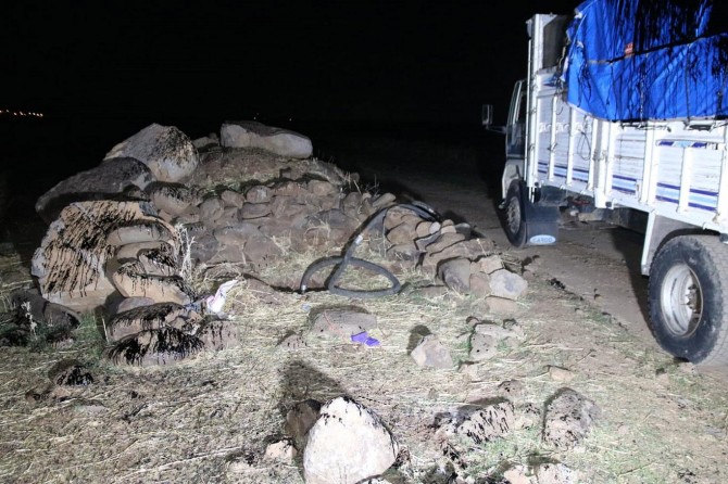 Petrol boru hattında hırsızlık olayında 14 kişi tutuklandı