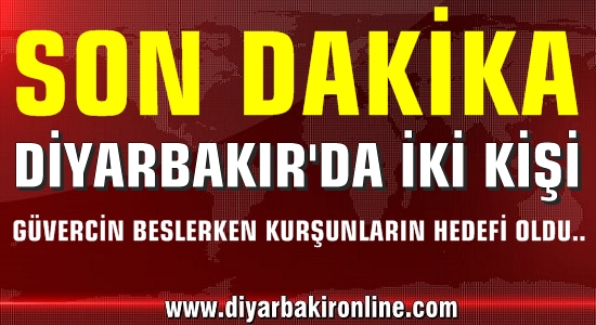Diyarbakır’da iki kişi, Güvercin beslerken kurşunların hedefi oldu..