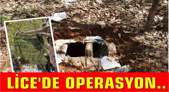 Lice’de operasyon!