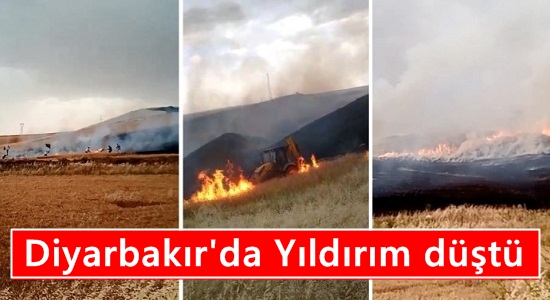 Yıldırım düştü, ekili alanlar küle döndü!