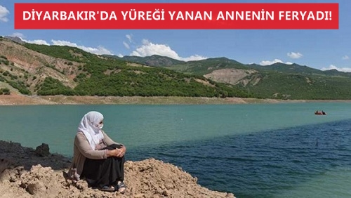 Diyarbakır’da Yüreği yanan bir annenin feryadı!