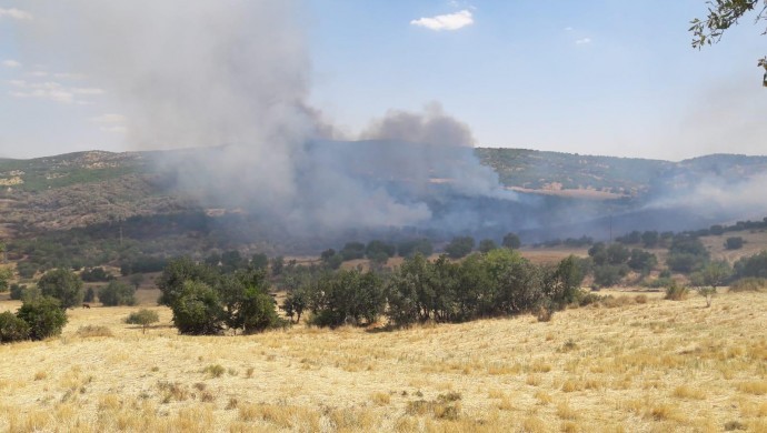 Lice’de Yangın Alarmı!