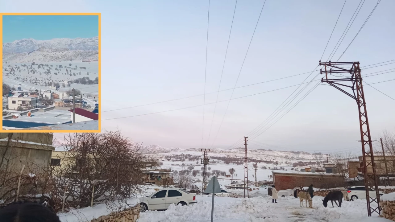 VİDEO- Diyarbakır’da Bir Köy 10 Gündür Mahsur: “Çok Mağduruz”